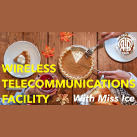 257: Wireless Telecommunications Facility | With Miss Ice