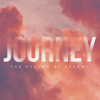 “Bless Your Heart”