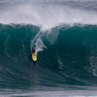 Narly Waves Brother!