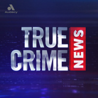 Fraudster facing trial for husband’s murder Woman sends $850,000 to fake Brad Pitt – TCN Sidebar