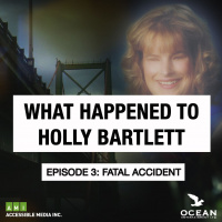 Episode 3: Fatal Accident