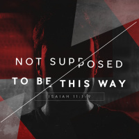 Not Supposed to Be This Way