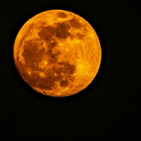 Day 27/28: Thankfulness