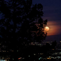 Day 7/28: Thankfulness