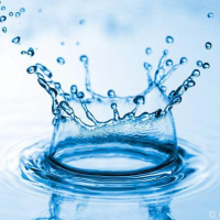 4289 为啥水对生命来说这么重要呢?