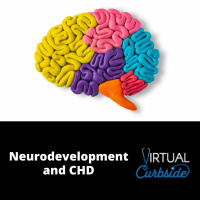 Episode 350: #81-4 Neurodevelopment  CHD: Q  A