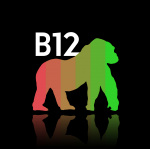 B12 - The Podcast
