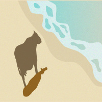 סיטואציות חברתיות