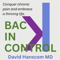 The Family Dynamics of Chronic Pain