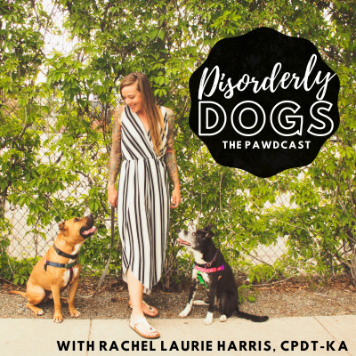 Disorderly Dogs!