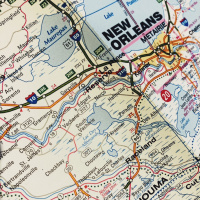 Koirat käyttävät pelihousuja - Oodi NFL:n ja Detroit Lionsin koirille ja muille eläimille