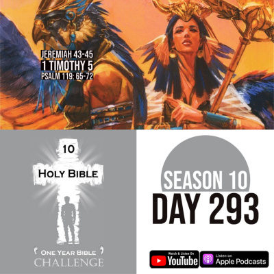 1 Year Audio Bible Experience