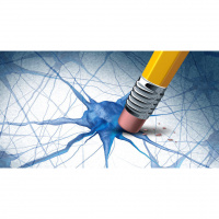 82: Cómo desaprender lo que no me sirve para llegar al éxito!