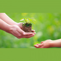 79: El merecimiento - saber recibir para ser abundante