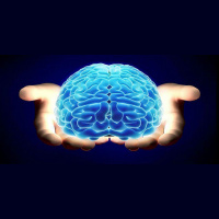 63: ¿Cómo funciona el cerebro? - la clave para obtener GRIT