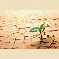 47: Los 10 hábitos para ser fuerte emocionalmente