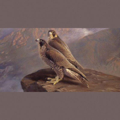 Homero Aguirre - Life Coach  Speaker