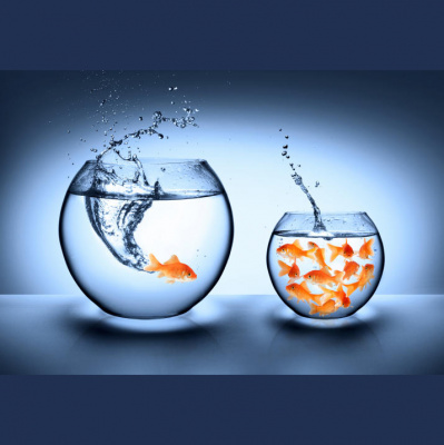 Homero Aguirre - Life Coach  Speaker