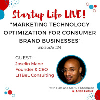 EP 124 Marketing Technology Optimization for Consumer Brand Businesses