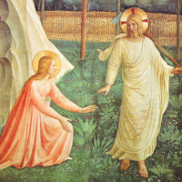 Thomas Joseph White, OP: The Incarnate Lord: Controversies in Christology