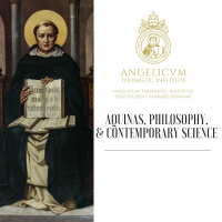 Evolution | Mariusz Tabaczek OP