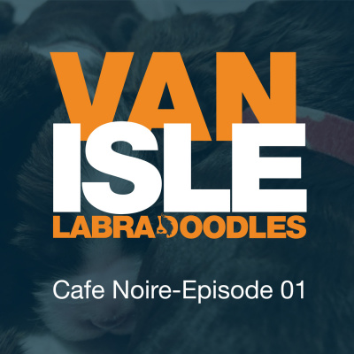 Van Isle Labradoodles