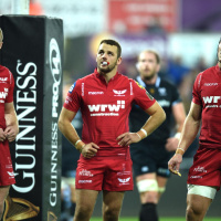 European rugby preview - Scarlets remain Wales best hope on all fronts
