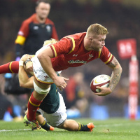 Wales need Moriarty to get fit or they have a huge problem at No.8