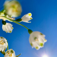 Episode 7: Deb - I Feel Like Ive Woken Back Up