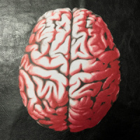 Maeror Tri – Language of Flames and Sound