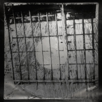 P. Children – PCH 4