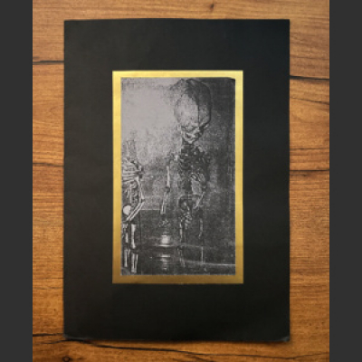 Noisextra - The Noise Podcast.