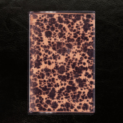 Noisextra - The Noise Podcast.