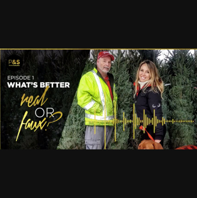 Sustainability Is Sexy!