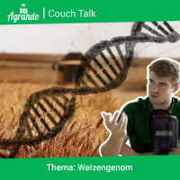 Couchtalk Ep. 2 - Das Weizengenom