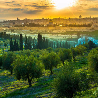 Metaphors Of The New Creation: Garden-City