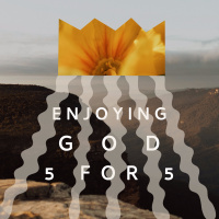 Gospel Rich amp Healthy Community: Enjoying God