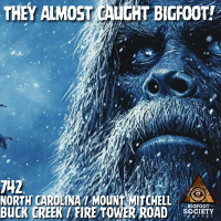 Something Was Watching Us on Mount Mitchell!