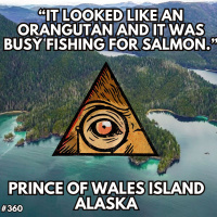 Alaskan Timber Workers Chilling Sasquatch Encounter on Prince of Wales Island, Alaska