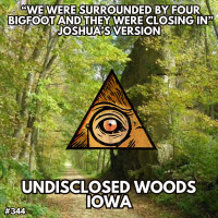 We were Chased out of the Woods by Four Bigfoot: The Friends Report
