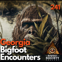 Bigfoot Encounters in North Georgia: Tamra  Gabe’s Chilling Stories from Chattahoochee National Forest and Etowah River