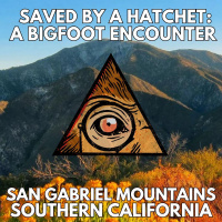 Saved by a Hatchet in the San Gabriels