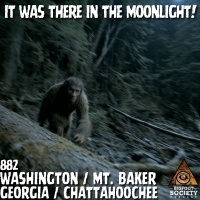 Night of the Sasquatch! | Washington
