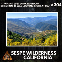 It wasnt just looking in our direction, it was looking right at us! / SoCal Bigfoot Thermal