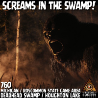 Alone in Deadhead Swamp: A Michigan Hunter’s Sasquatch Story