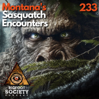 A Hunters Close Encounters with Sasquatch in Montanas Tobacco Root Mountains