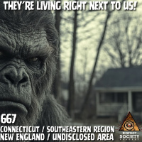 Theyre Living Right Next to Us! | Connecticut