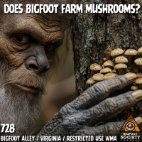 Does Bigfoot Farm Mushrooms? | Virginia