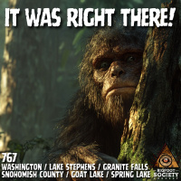 Eyewitness to Bigfoot: A Terrifying Encounter in Washington’s Deep Woods
