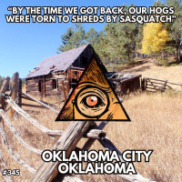 By the Time We Got Back, Our Hogs Were Torn to Shreds by Sasquatch